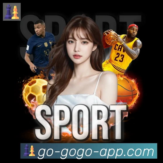 GOGO体育官网APP 封面图